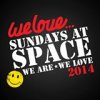 We Love We Love