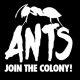 Ants